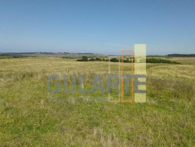 Fazenda para Venda, em Pedras Altas, bairro Distrito