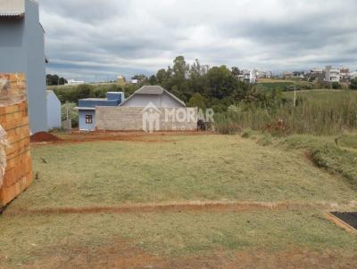 Terreno para Venda, em Santa Rosa, bairro Bairro Central/ Loteamento Altamira III