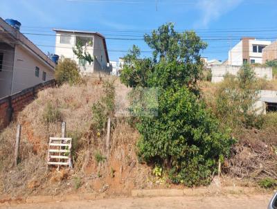 Terreno para Venda, em Carmo de Minas, bairro Nh Chica