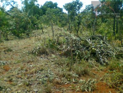 Chcara para Venda, em Curvelo, bairro So Jos da Lagoa