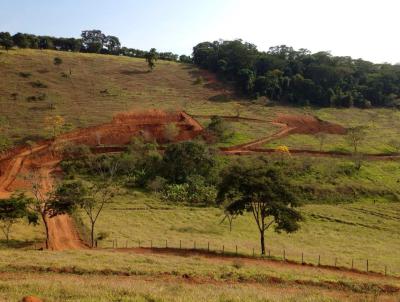 Chcara para Venda, em Iapu, bairro RURAL