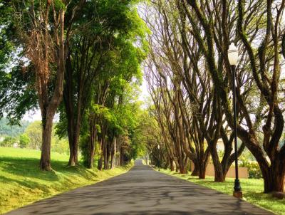 Terreno para Venda, em Itupeva, bairro Fazenda Serrazul Santa Maria