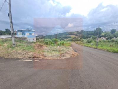 Terreno para Venda, em Concrdia, bairro Loteamento Santa Terezinha