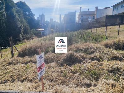 Terreno para Venda, em Carazinho, bairro LEFF