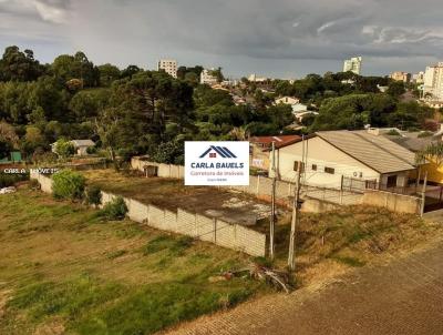 Terreno para Venda, em , bairro Vargas