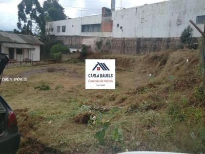 Terreno para Venda, em Carazinho, bairro Fey