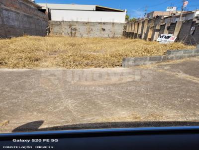 Terreno para Venda, em Bragana Paulista, bairro Jardim Vista Alegre