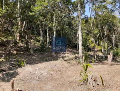 Stio para Venda, em Palhoa, bairro Praia de Fora