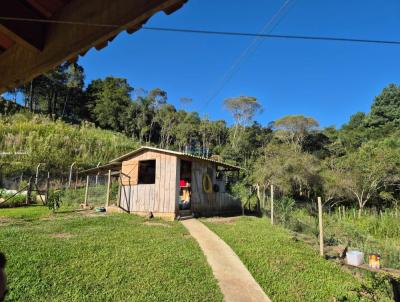 Chcara para Venda, em Campina Grande do Sul, bairro Roseira, 1 dormitrio, 1 banheiro, 1 sute, 10 vagas