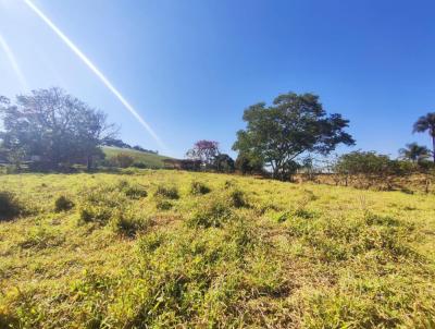 Terreno para Venda, em Toledo, bairro Bairro da Formiga