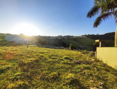 Lote para Venda, em Toledo, bairro Pereiras