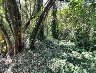 Terreno para Venda, em Valinhos, bairro Dois Crregos