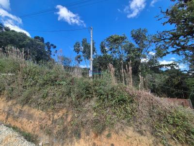 Chcara para Venda, em Campina Grande do Sul, bairro Taquari