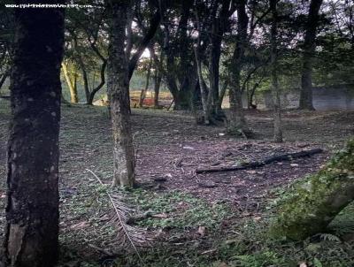 Chcara para Venda, em Nazar Paulista, bairro Morro Grande