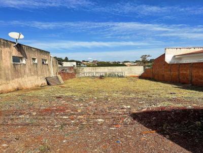 Terreno para Venda, em Ourinhos, bairro Jardim Matilde