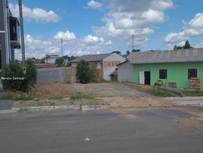 Terreno para Venda, em Pin, bairro Centro