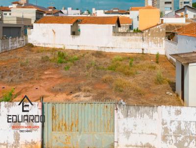 Terreno para Venda, em Leme, bairro Centro