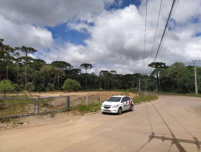 rea Industrial para Venda, em Fazenda Rio Grande, bairro Eucaliptos