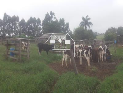 Fazenda para Venda, em So Tiago, bairro Rural