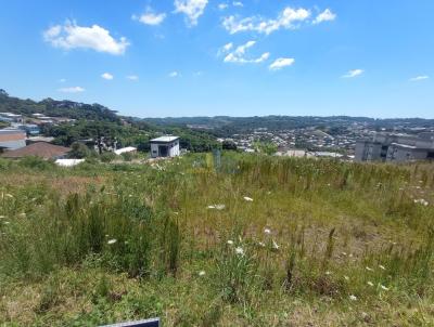 Terreno para Venda, em Garibaldi, bairro Chcaras