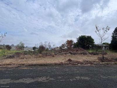 Terreno para Venda, em Jaguariava, bairro Usina Velha