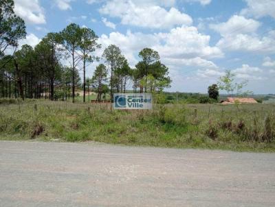 Terreno Rural para Venda, em Limeira, bairro Castanheiras