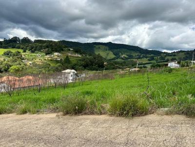 Terreno para Venda, em Toledo, bairro Novo Horizonte