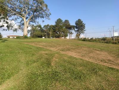 rea para Locao, em Fazenda Rio Grande, bairro Veneza