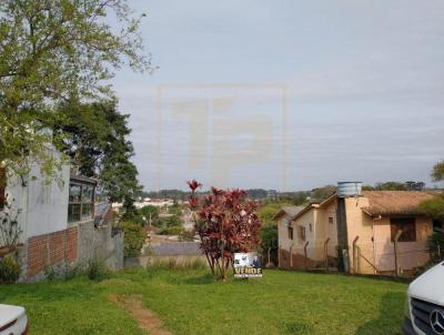 Terreno para Venda, em Porto, bairro Centro