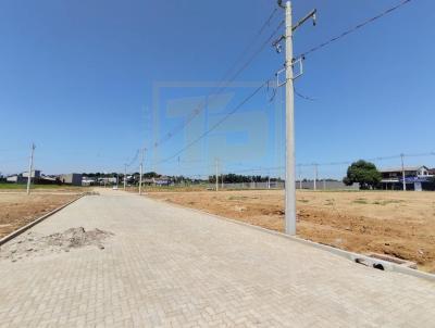 Terreno para Venda, em Porto, bairro Centro