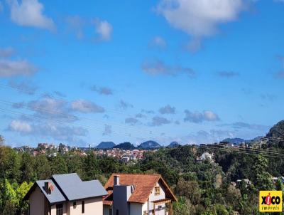 Terreno para Venda, em Nova Petrpolis, bairro Vale Verde