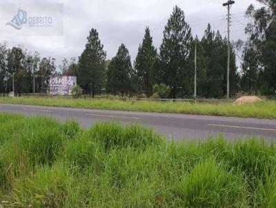 Chcara para Venda, em Osrio, bairro Varzea do Padre