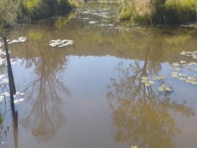 Stio para Venda, em Cludio, bairro zona rural, 2 dormitrios, 2 banheiros, 4 vagas