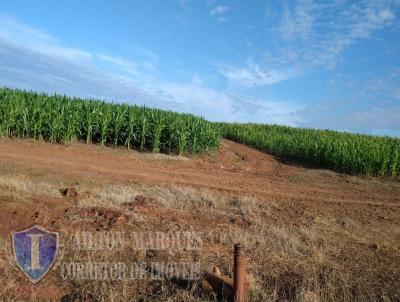 Fazenda para Venda, em Ita, bairro RURAL