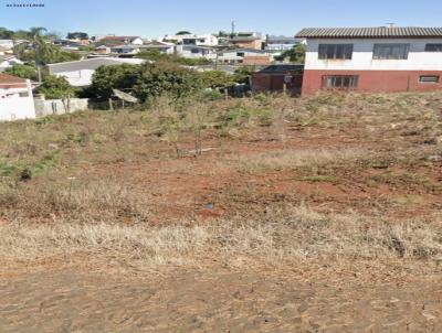 Terreno para Venda, em Erechim, bairro Linho