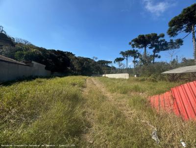 Terreno para Venda, em Lapa, bairro BAIXO DA LAPA