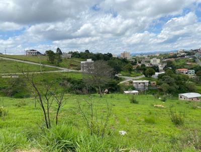 Lote para Venda, em Barbacena, bairro Monte Mrio