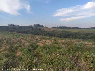 rea Rural para Venda, em Mariana Pimentel, bairro Passo D`Areia