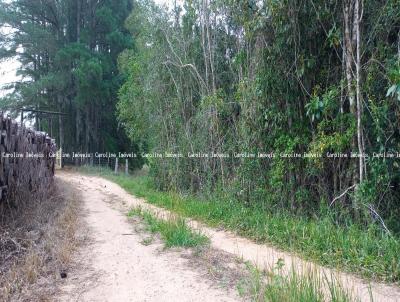 Terreno para Venda, em Mariana Pimentel, bairro Linha Alves