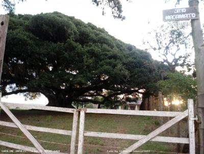 Stio / Chcara para Venda, em Mariana Pimentel, bairro Terra Dura