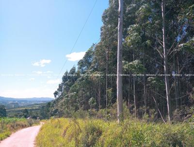 rea Rural para Venda, em Serto Santana, bairro Linha Palmeira - Serto Santana