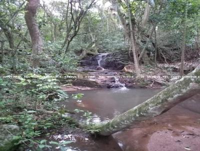 rea Rural para Venda, em Barra do Ribeiro, bairro Cavalhada