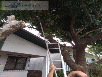 Casa para Venda, em So Leopoldo, bairro Cristo Rei, 3 dormitrios, 2 banheiros, 1 sute, 1 vaga