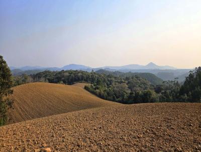 Terreno para Venda, em Campo Alegre, bairro Bateias de Cima