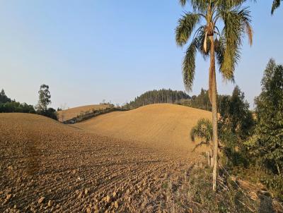 Terreno para Venda, em Campo Alegre, bairro Bateias de Cima