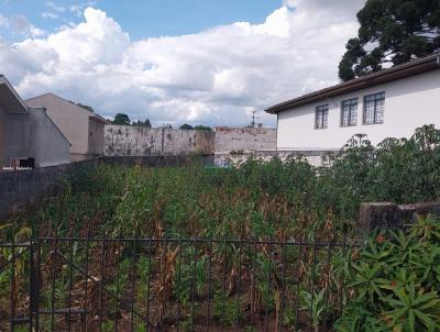 Terreno para Venda, em Campina Grande do Sul, bairro Jardim Nezita