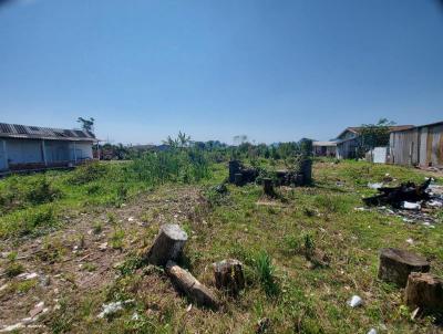 Terreno para Venda, em Guaratuba, bairro CARVOEIRO, RUA WENCESLAU BRAZ