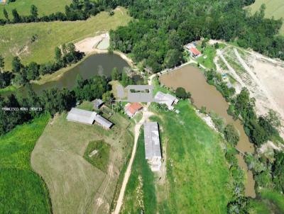 Fazenda para Venda, em Sarapu, bairro No definido