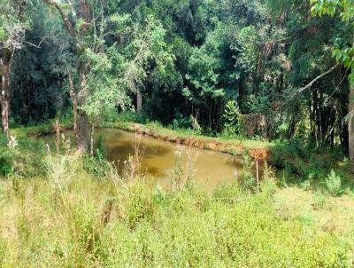 rea Rural para Venda, em Guarapuava, bairro 10 km de Guarapuava-PR, no Guabiroba, 2 dormitrios, 1 banheiro, 1 vaga