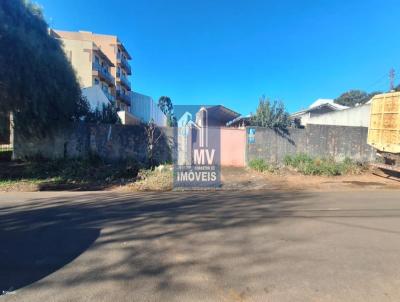 Terreno para Locao, em Guarapuava, bairro Vila Carli